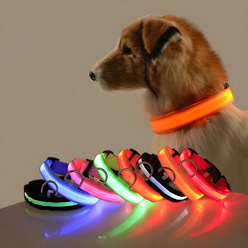 Led halsbånd